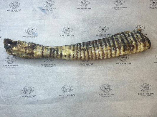Trachea long 30-35cm